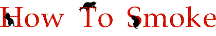logo1